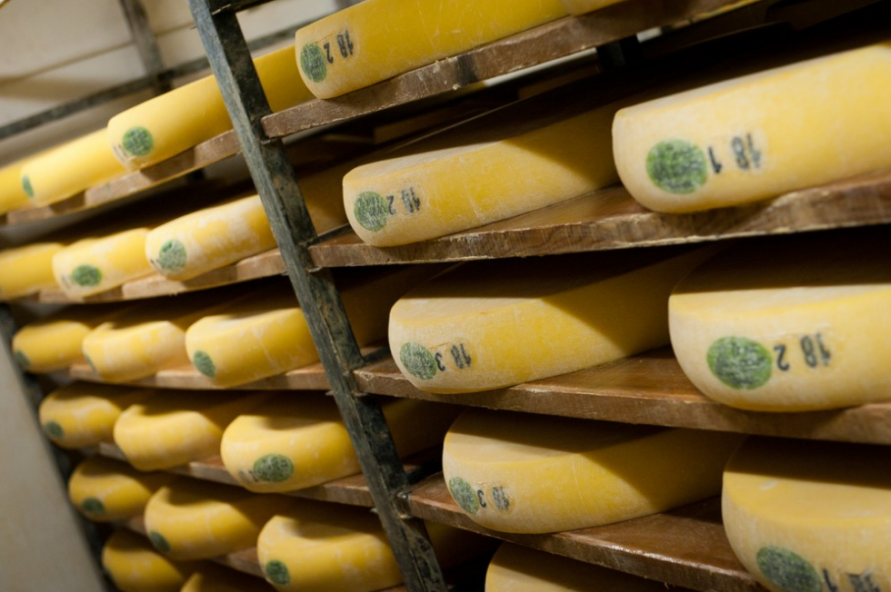 Comte cheese